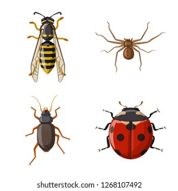 Vector design of insect and fly symbol. Set of insect and element stock symbol for web.