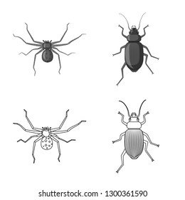 Vector design of insect and fly symbol. Set of insect and element stock vector illustration.