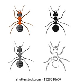 Vector design of insect and fly symbol. Collection of insect and element stock vector illustration.