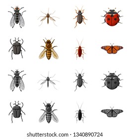 Vector design of insect and fly symbol. Collection of insect and element stock vector illustration.