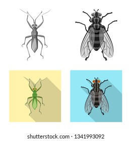 Vector design of insect and fly symbol. Collection of insect and element vector icon for stock.