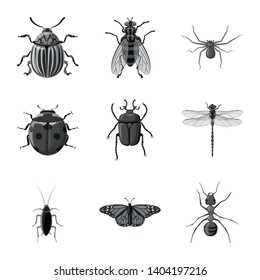 Vector design of insect and fly symbol. Set of insect and element stock symbol for web.