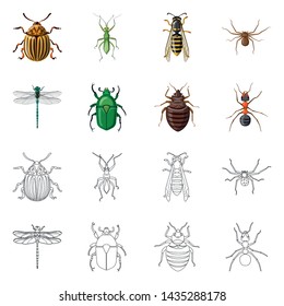 Vector design of insect and fly symbol. Set of insect and element stock vector illustration.