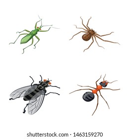 Vector design of insect and fly symbol. Collection of insect and entomology stock symbol for web.