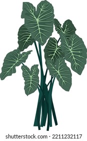 vector design with inspiration from various types of Leaves is ready to help complete your incredible design concept!