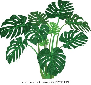 vector design with inspiration from various types of Leaves is ready to help complete your incredible design concept!