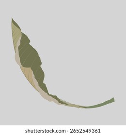 Vector design inspired by dry brown leaves with curled edges.