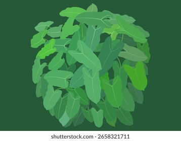 Vector design inspired by the leaves of plants in the garden that form a circle.
