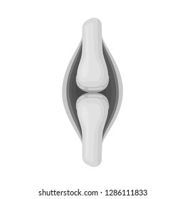 Vector design of internal and medical icon. Collection of internal and health stock symbol for web.