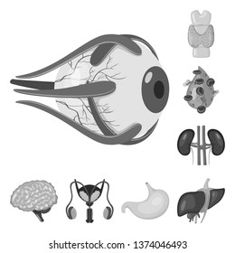 Vector design of internal and medical icon. Set of internal and health stock vector illustration.