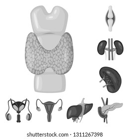 Vector design of internal and medical sign. Collection of internal and health vector icon for stock.