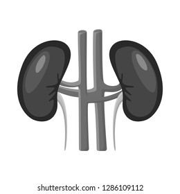 Vector design of internal and medical symbol. Collection of internal and health vector icon for stock.
