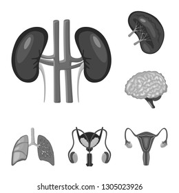 Vector design of internal and medical symbol. Set of internal and health vector icon for stock.