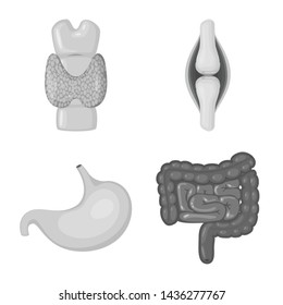 Vector design of internal and medical symbol. Collection of internal and health vector icon for stock.