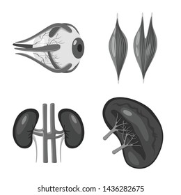 Vector design of internal and medical symbol. Collection of internal and health stock vector illustration.