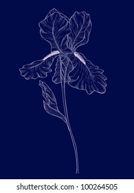 Vector design with iris for greeting card.