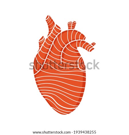 Vector design of isolated red human heart with lines. The concept of medicine. Heart shape with textured effect. Stock illustration for greeting card, world heart day, print on fabric, sticker.