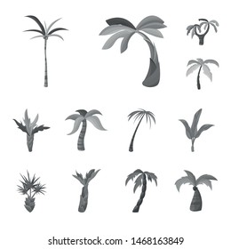 Vector design of jungle and botanical icon. Set of jungle and flora vector icon for stock.
