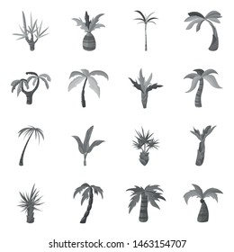 Vector design of jungle and botanical logo. Collection of jungle and flora stock vector illustration.