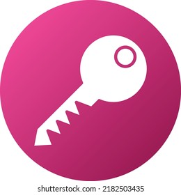 Vector Design Key Icon Style