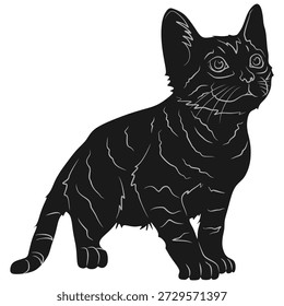 Design vetorial de uma silhueta de gatinho com um rosto pitying
