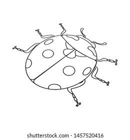 Vector design of ladybug and ladybird logo. Set of ladybug and red vector icon for stock.