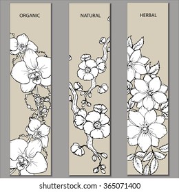 Vector design layout for beauty salon, Spa salon, beauty shop. Hand-drawn flowers on a beige background.