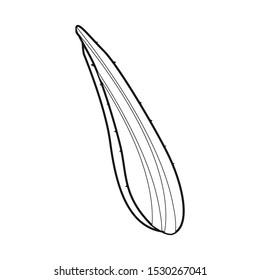 Vector design of leaf and aloe symbol. Web element of leaf and green stock symbol for web.