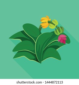 Vector design of leaf and banana icon. Collection of leaf and jungle stock symbol for web.