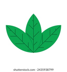 vector design of a leaf, flat illustration of a plant on a white background