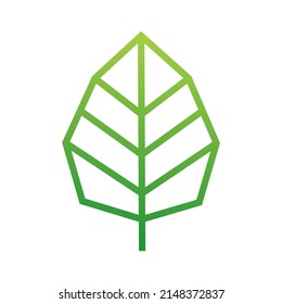 vector design, leaf shape illustration