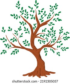 vector design with leaf theme