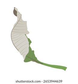 Diseño de Vector de hojas que caen de un árbol en tres colores.