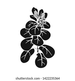 Vector design of leaves and leaf symbol. Collection of leaves and botanical stock symbol for web.