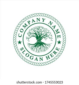  Vector design of leaves, trees, natural and roots with a simple and elegant white background