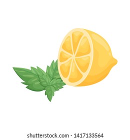 Vector design of lemon and citrus  sign. Collection of lemon and leaf stock symbol for web.