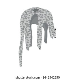 Vector design of leopard and animal icon. Collection of leopard and fashion stock symbol for web.
