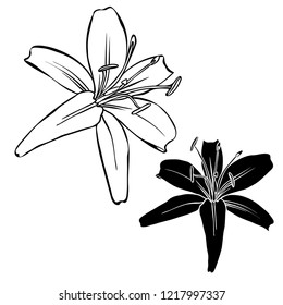 Vector design with lily flowers. Elements isolated on white background. In black and white style. Can be used for printing on paper, stickers, badges, bijouterie, cards, textiles.