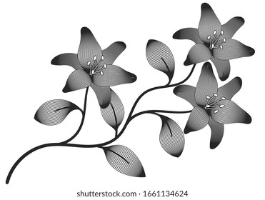 vector design of line art decoration flower