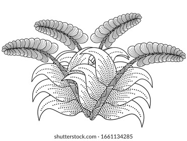 planta de arte de líneas de diseño vectorial. dibujo a mano boceto botánico