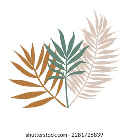 Vector design linear window with palm leaf and key template logos templates in trendy linear minimal style. Celestial and magical abstract.