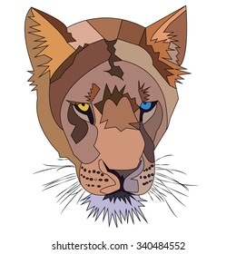 vector design lion head  white background