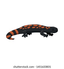 Vector design of lizard and gila symbol. Set of lizard and colored vector icon for stock.