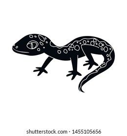 Vector design of lizard and gray symbol. Collection of lizard and dragon stock vector illustration.