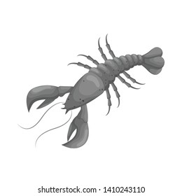 Vector design of lobster and red icon. Collection of lobster and atlantic stock vector illustration.