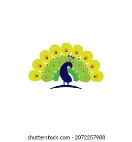 vector design. logo created from peacock with simple and beautiful style.