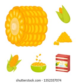 Vector design of maize and food icon. Collection of maize and crop stock vector illustration.