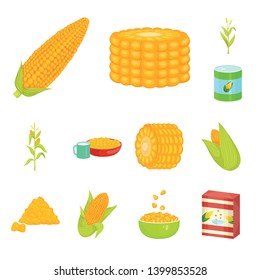 Vector design of maize and food icon. Collection of maize and crop vector icon for stock.