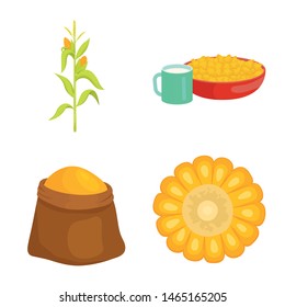 Vector design of maize and food sign. Set of maize and crop stock vector illustration.