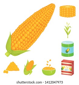 Vector design of maize and food symbol. Set of maize and crop vector icon for stock.